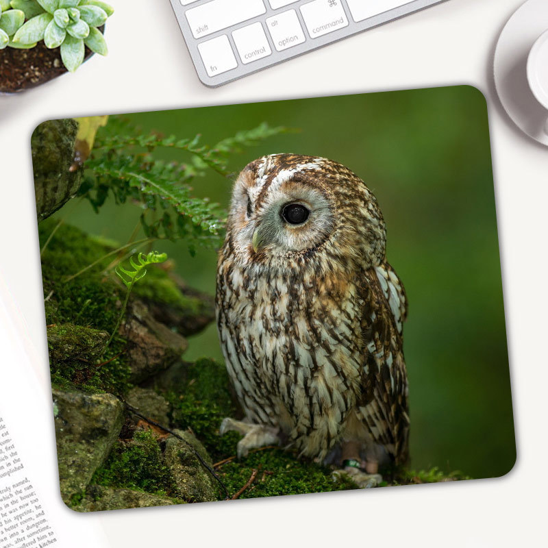 Cute Animal Owl Gaming Mouse P - Gaming Accessories On Sale recension och pris