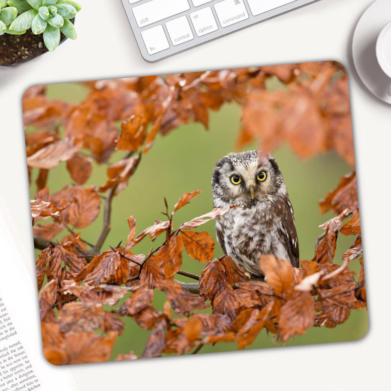Cute Animal Owl Gaming Mouse P - Gaming Accessories On Sale recension och pris