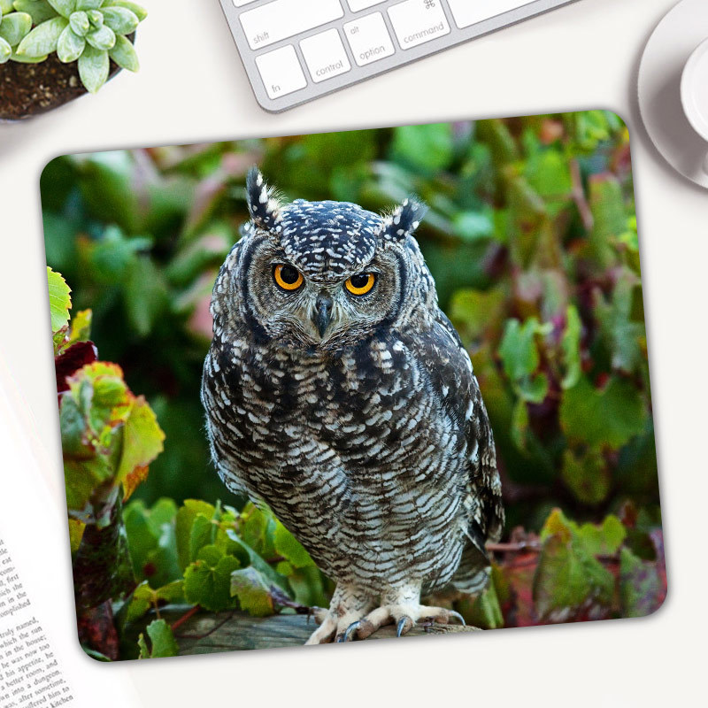 Cute Animal Owl Gaming Mouse P - Gaming Accessories On Sale recension och pris